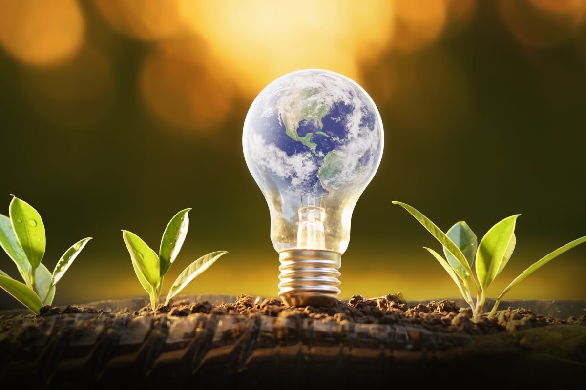 Symbolbild von Nadir Bau AG für nachhaltige Energie: Glühbirne mit Erdkugel und jungen Pflanzen als Hinweis auf umweltfreundliche Heizsysteme.